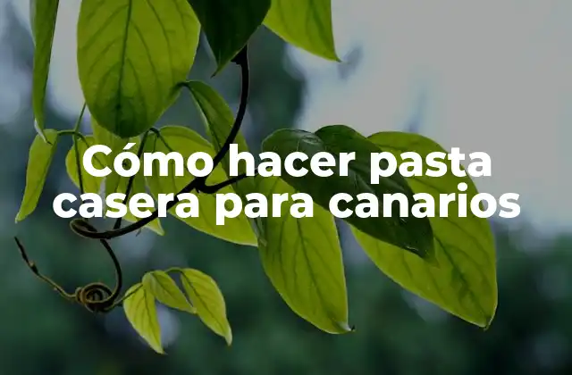 Cómo Hacer Pasta Casera para Canarios