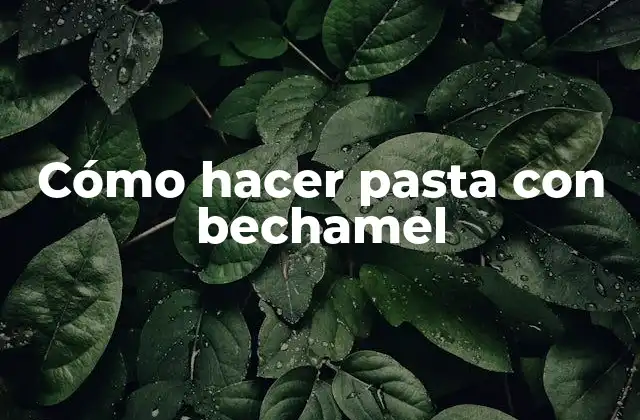 Cómo Hacer Pasta con Bechamel 2 Cómo hacer pasta con bechamel