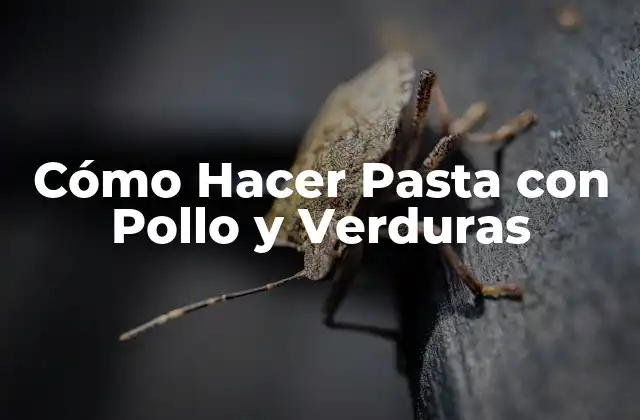 Cómo Hacer Pasta con Pollo y Verduras