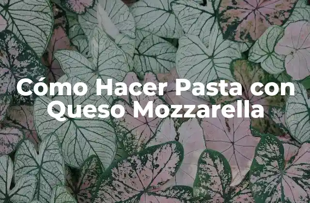 Cómo Hacer Pasta con Queso Mozzarella