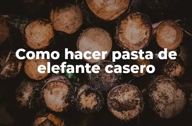 Como Hacer Pasta de Elefante Casero