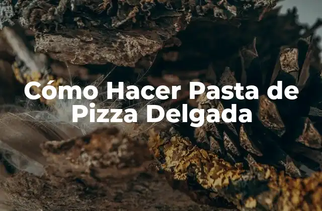 ¿Qué es la Pasta de Pizza Delgada y para Qué Sirve?