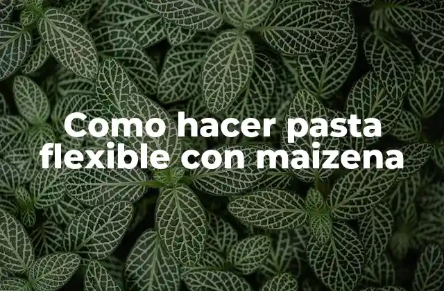 Como Hacer Pasta Flexible con Maizena