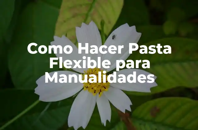 Como Hacer Pasta Flexible para Manualidades