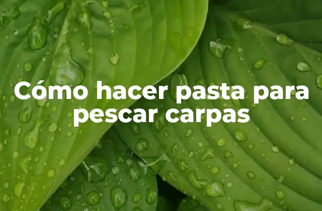 Cómo Hacer Pasta para Pescar Carpas