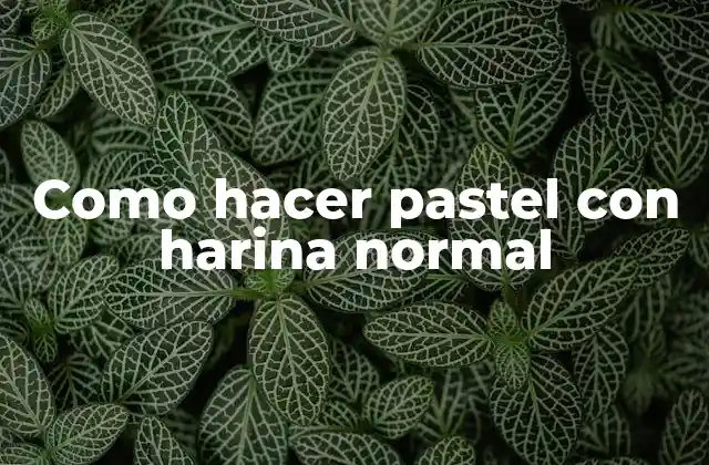 ¿Qué es un pastel con harina normal y para qué sirve?