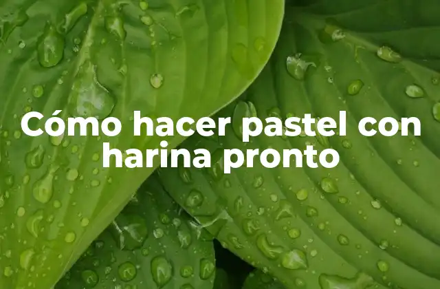 Cómo Hacer Pastel con Harina Pronto