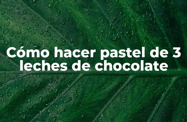 Cómo Hacer Pastel de 3 Leches de Chocolate