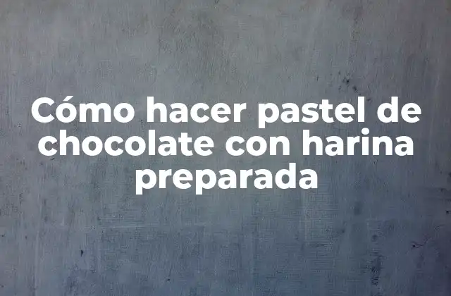 Cómo Hacer Pastel de Chocolate con Harina Preparada