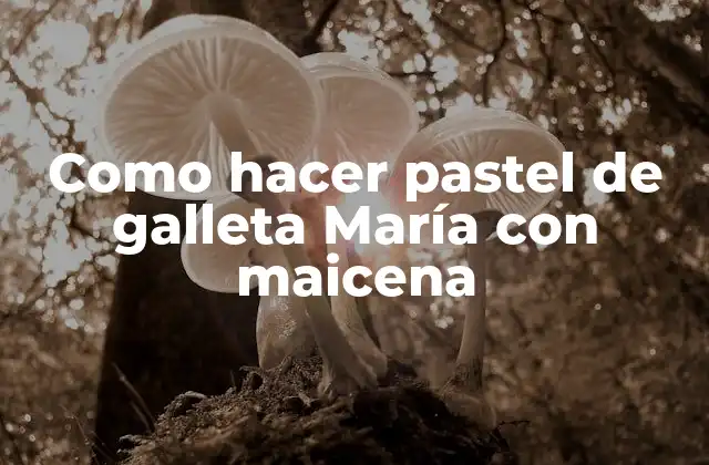 Como Hacer Pastel de Galleta María con Maicena