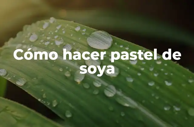 Cómo hacer pastel de soya