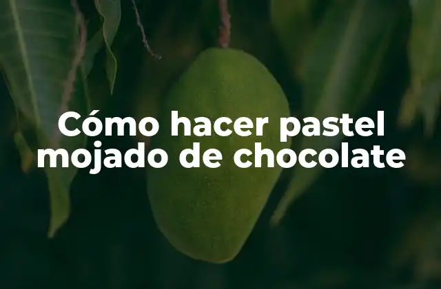 Cómo Hacer Pastel Mojado de Chocolate