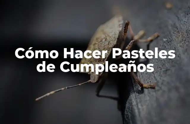Cómo Hacer Pasteles de Cumpleaños
