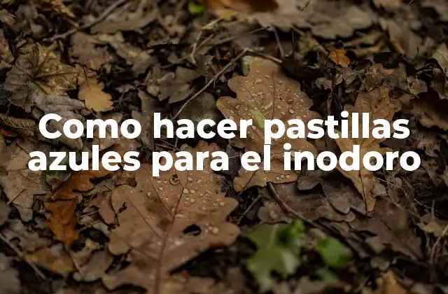 Como Hacer Pastillas Azules para el Inodoro