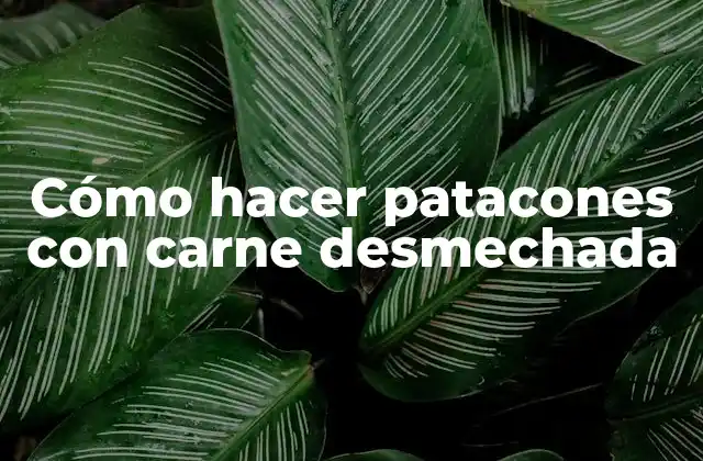 Cómo Hacer Patacones con Carne Desmechada