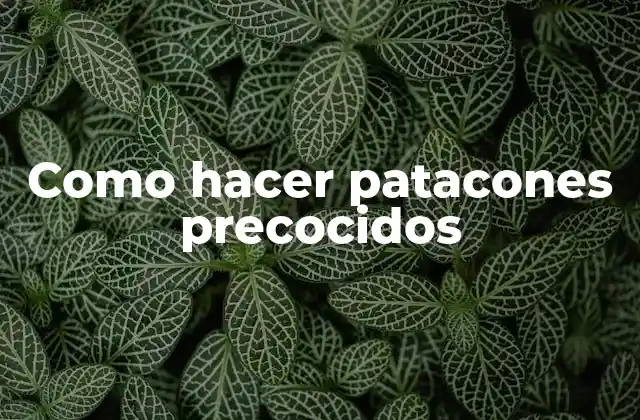 ¿Qué son los patacones precocidos?