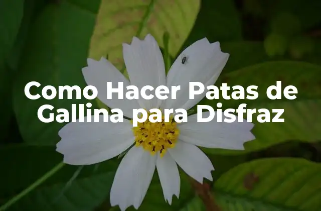 Como Hacer Patas de Gallina para Disfraz