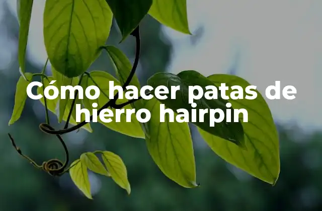 Cómo Hacer Patas de Hierro Hairpin