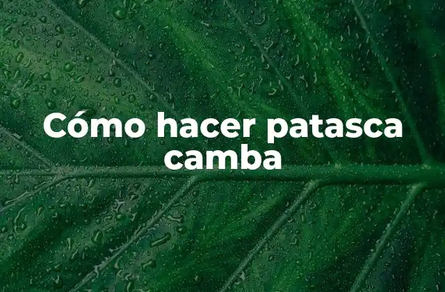 Cómo hacer patasca camba