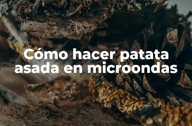 Cómo Hacer Patata Asada en Microondas