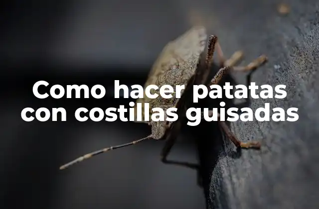 Como Hacer Patatas con Costillas Guisadas