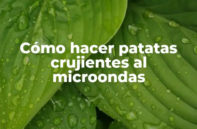 Cómo Hacer Patatas Crujientes Al Microondas