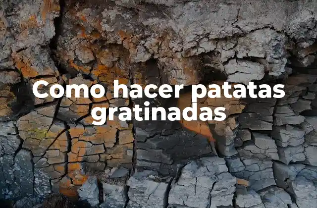 Como Hacer Patatas Gratinadas 2 ¿Qué son las patatas gratinadas?