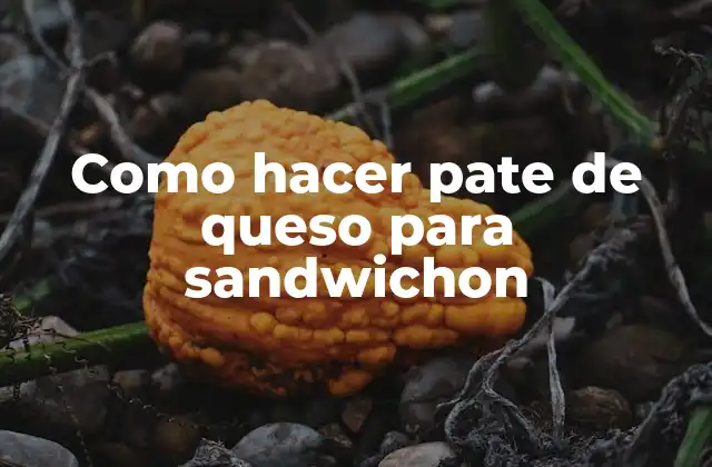 ¿Qué es el pate de queso para sandwichon?