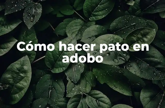 Pato en adobo, una delicia gastronómica