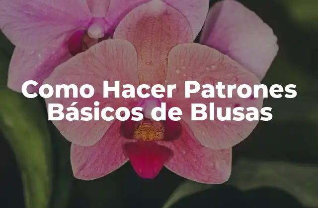 Como Hacer Patrones Básicos de Blusas 2 ¿Qué es un Patrón de Blusa y para qué Sirve?