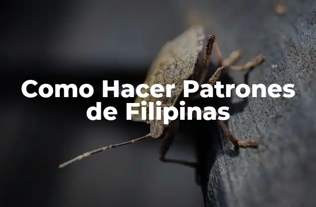 Como Hacer Patrones de Filipinas