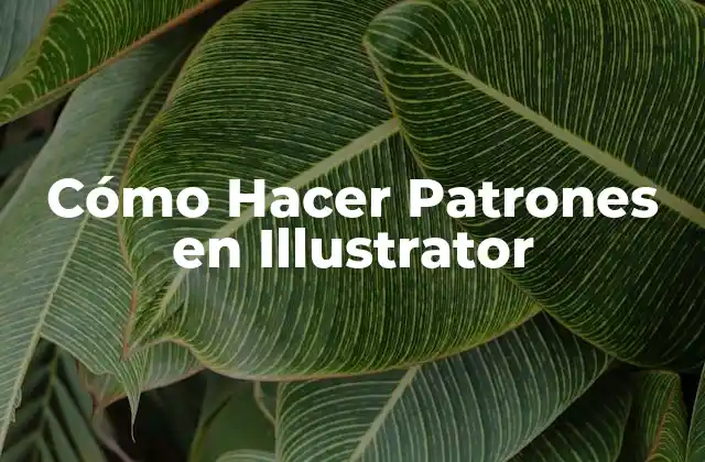 ¿Qué son los Patrones en Illustrator?