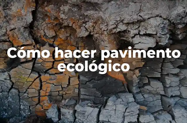 ¿Qué es un pavimento ecológico y cómo funciona?