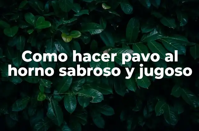 Como Hacer Pavo Al Horno Sabroso y Jugoso