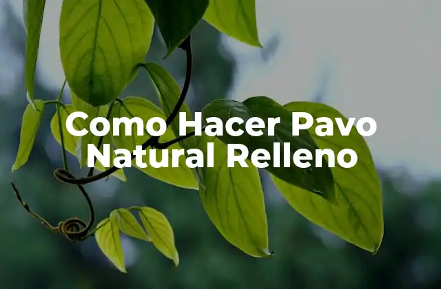 Como Hacer Pavo Natural Relleno