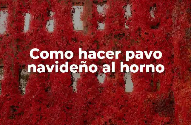 Como Hacer Pavo Navideño Al Horno