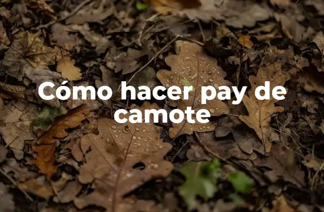 Cómo Hacer Pay de Camote