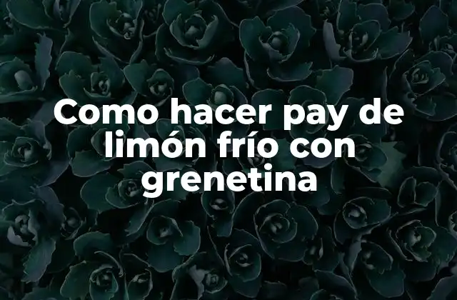 Como Hacer Pay de Limón Frío con Grenetina
