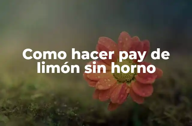 Como Hacer Pay de Limón sin Horno