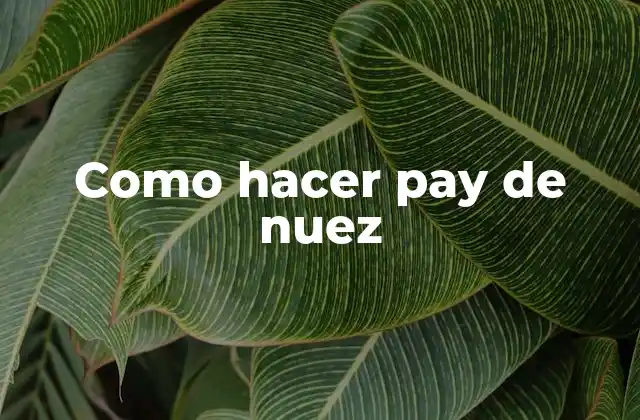 Como Hacer Pay de Nuez