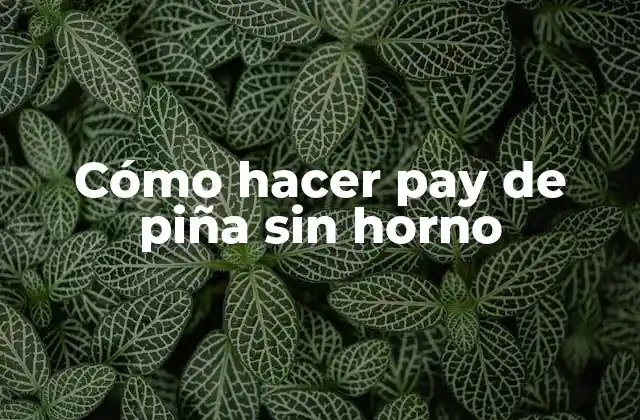 Cómo Hacer Pay de Piña sin Horno