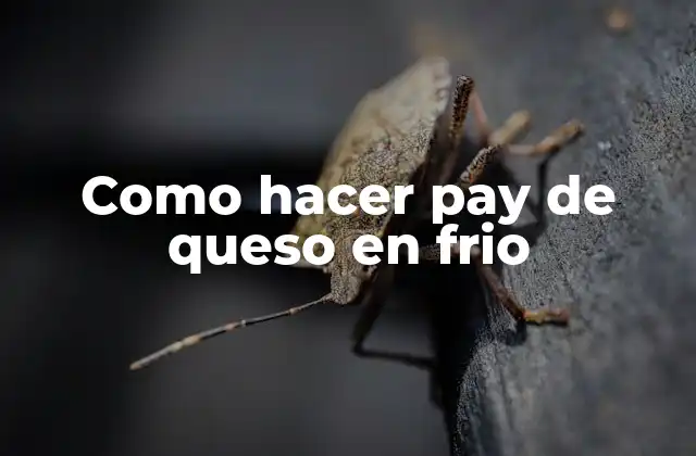 Como Hacer Pay de Queso en Frio