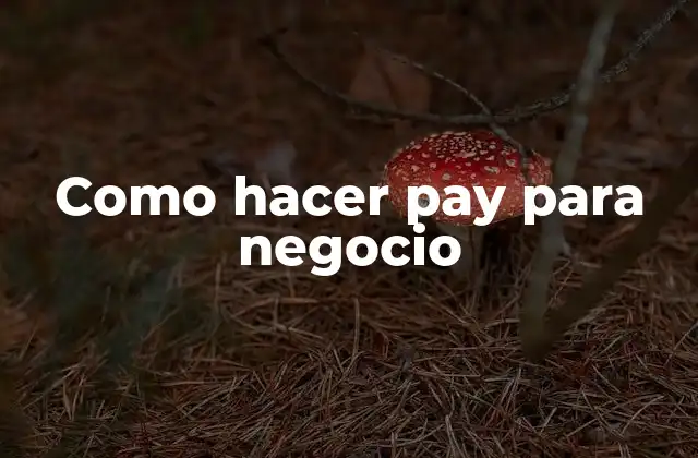 Como Hacer Pay para Negocio 2 Como hacer pay para negocio