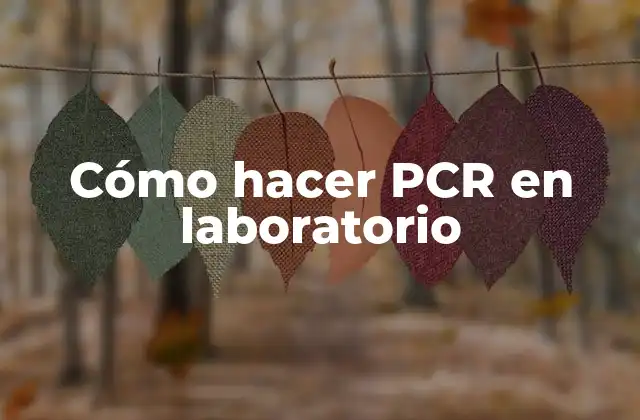 Cómo Hacer Pcr en Laboratorio