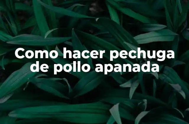¿Qué es la pechuga de pollo apanada y para qué sirve?