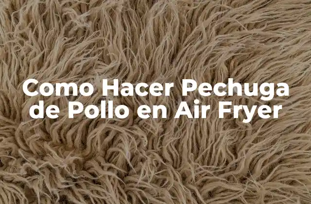 Como Hacer Pechuga de Pollo en Air Fryer