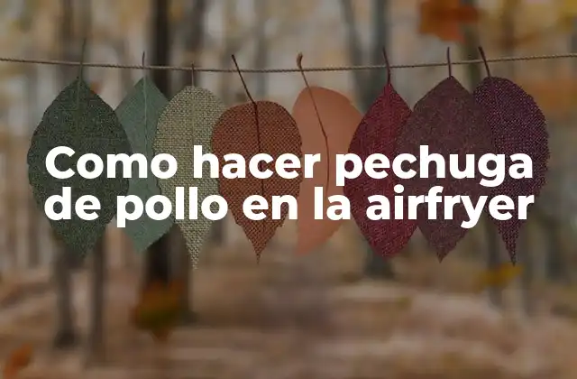 Como Hacer Pechuga de Pollo en la Airfryer 2 Pechuga de pollo en la airfryer