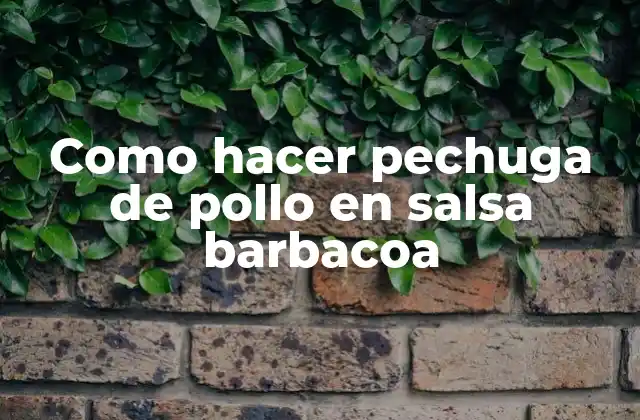 Como Hacer Pechuga de Pollo en Salsa Barbacoa 2 Pechuga de pollo en salsa barbacoa: ¿Qué es y cómo se utiliza?