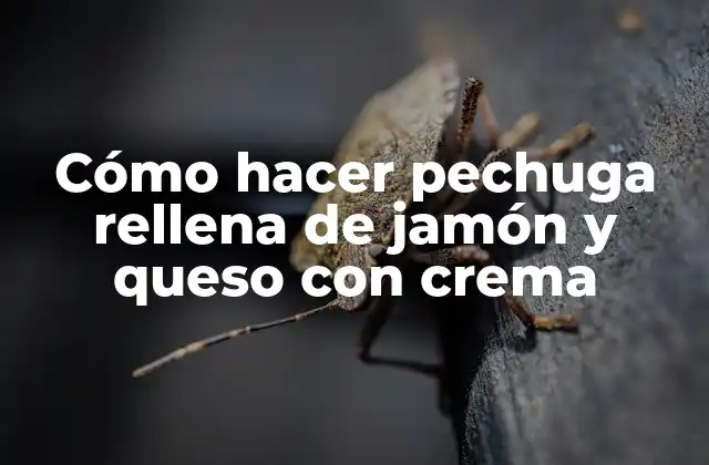 ¿Qué es la pechuga rellena de jamón y queso con crema?