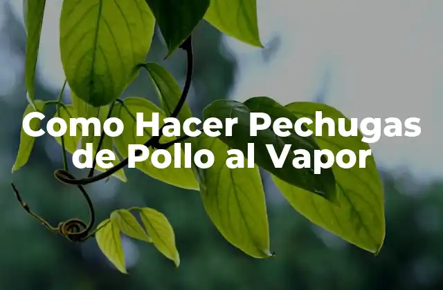 Como Hacer Pechugas de Pollo Al Vapor